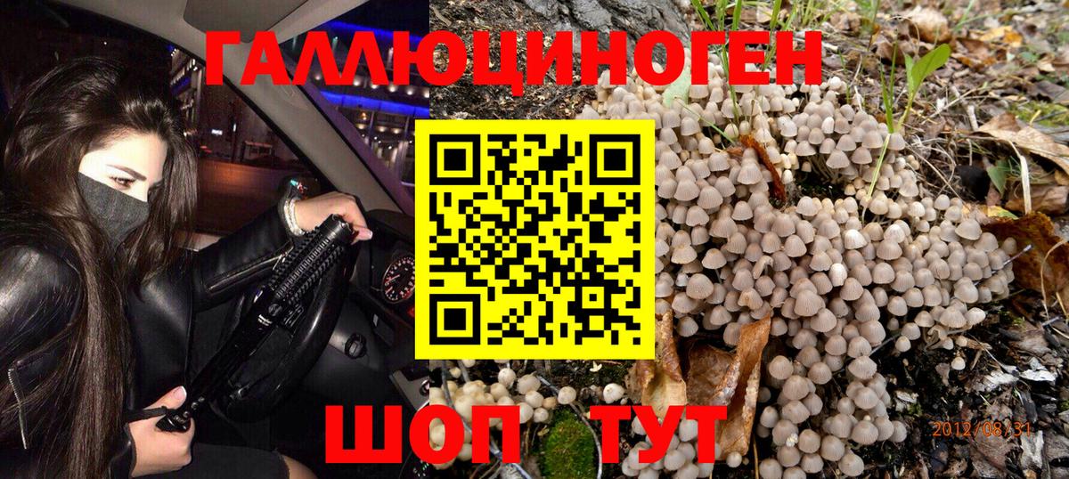 Псилоцибиновые грибы Cubensis Сертолово